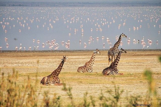 Les 10 plus beaux sites à visiter en Tanzanie
