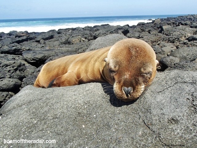 10 endroits incroyables à visiter aux îles Galapagos