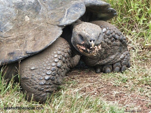 10 endroits incroyables à visiter aux îles Galapagos