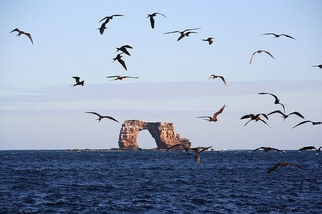 10 endroits incroyables à visiter aux îles Galapagos