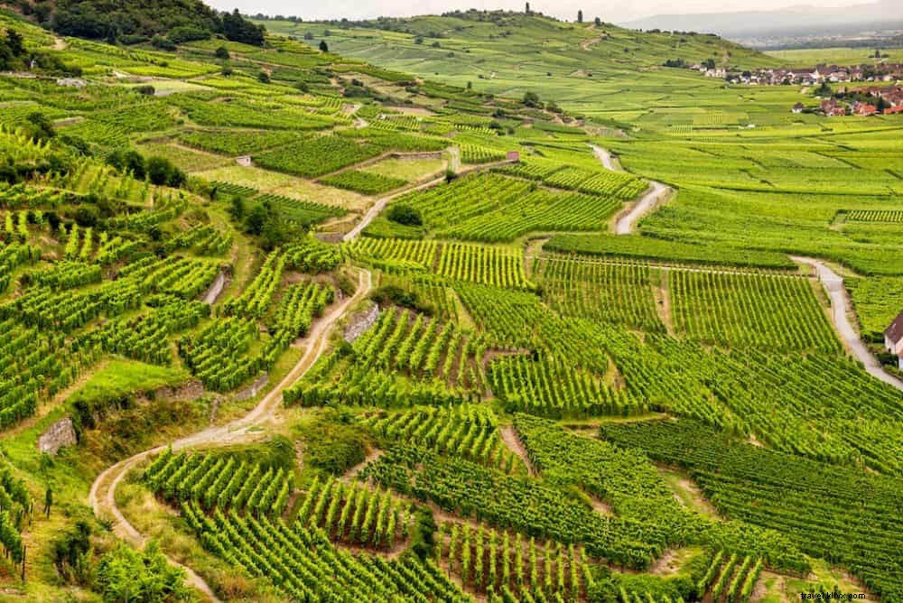 Top 10 des plus belles régions viticoles françaises
