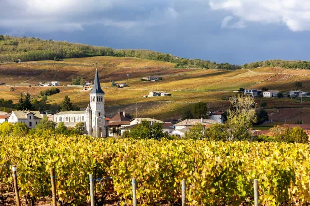Top 10 des plus belles régions viticoles françaises