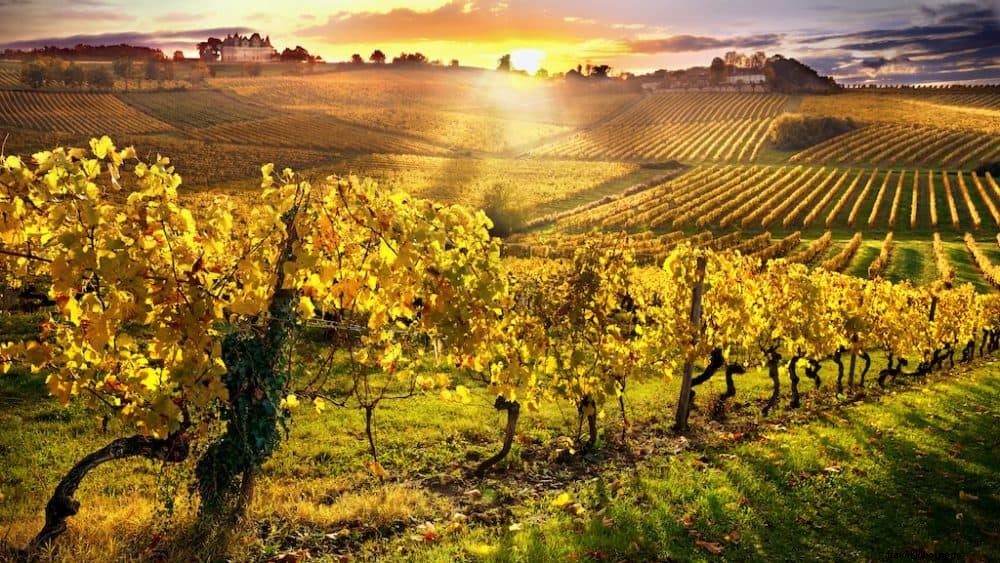 Top 10 des plus belles régions viticoles françaises