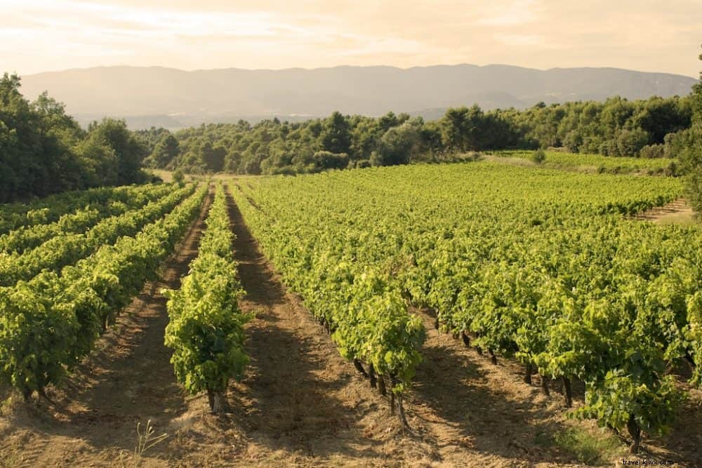 Top 10 des plus belles régions viticoles françaises