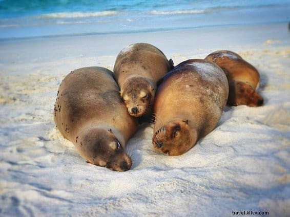 Top 15 des plus beaux endroits à visiter en Amérique du Sud