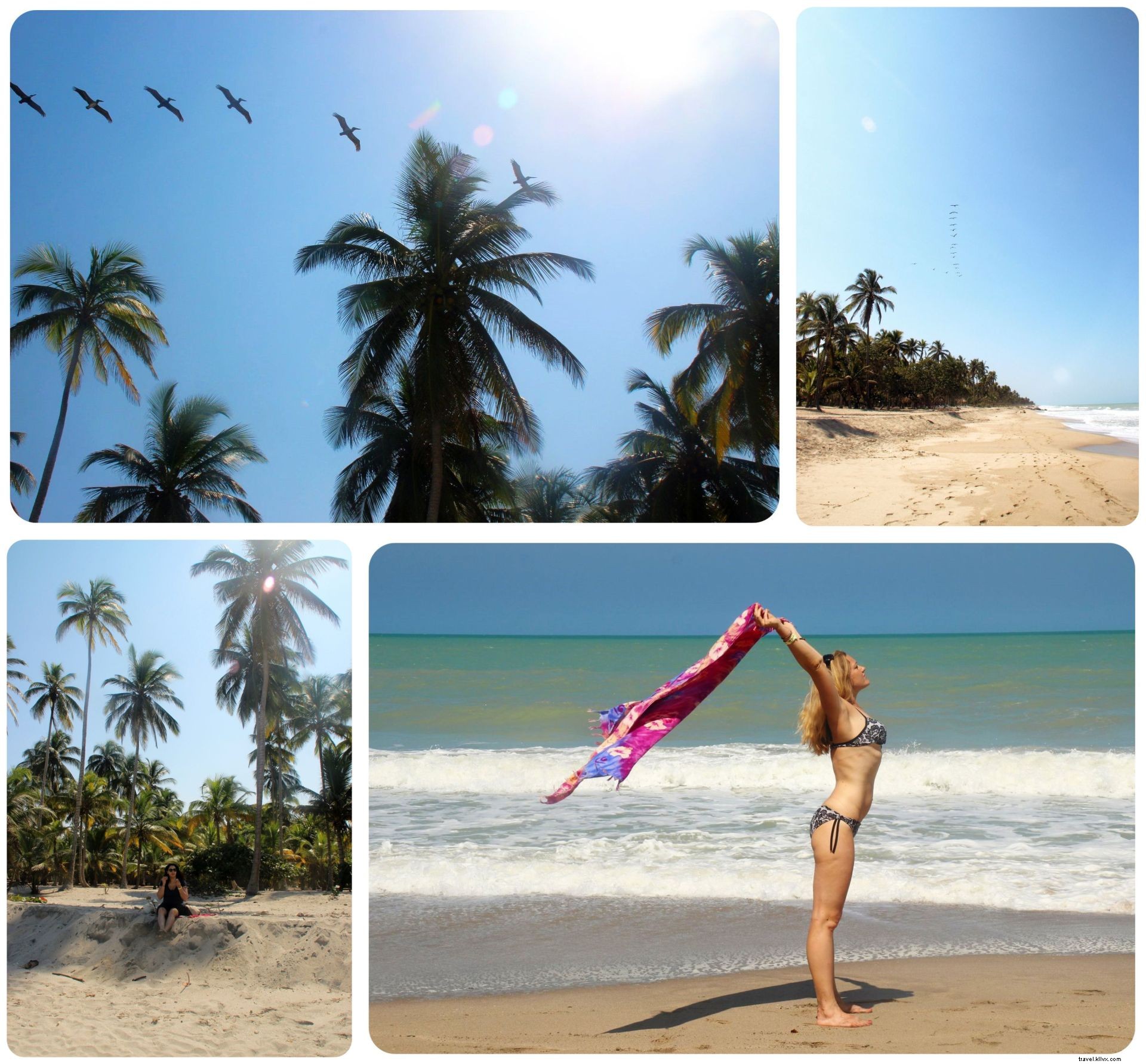 Vibrations des Caraïbes et une frayeur inattendue à Palomino, Colombie