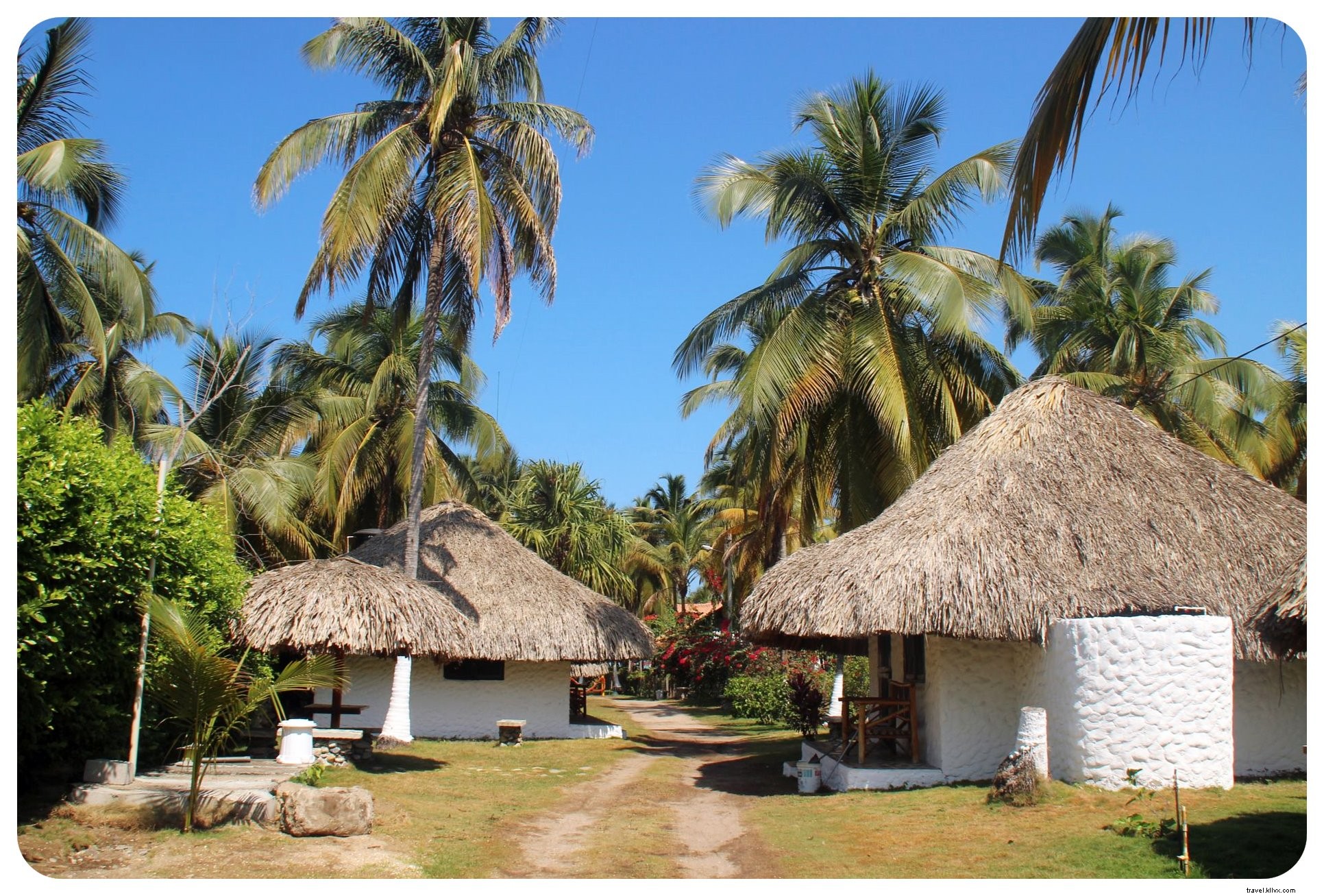 Vibrations des Caraïbes et une frayeur inattendue à Palomino, Colombie