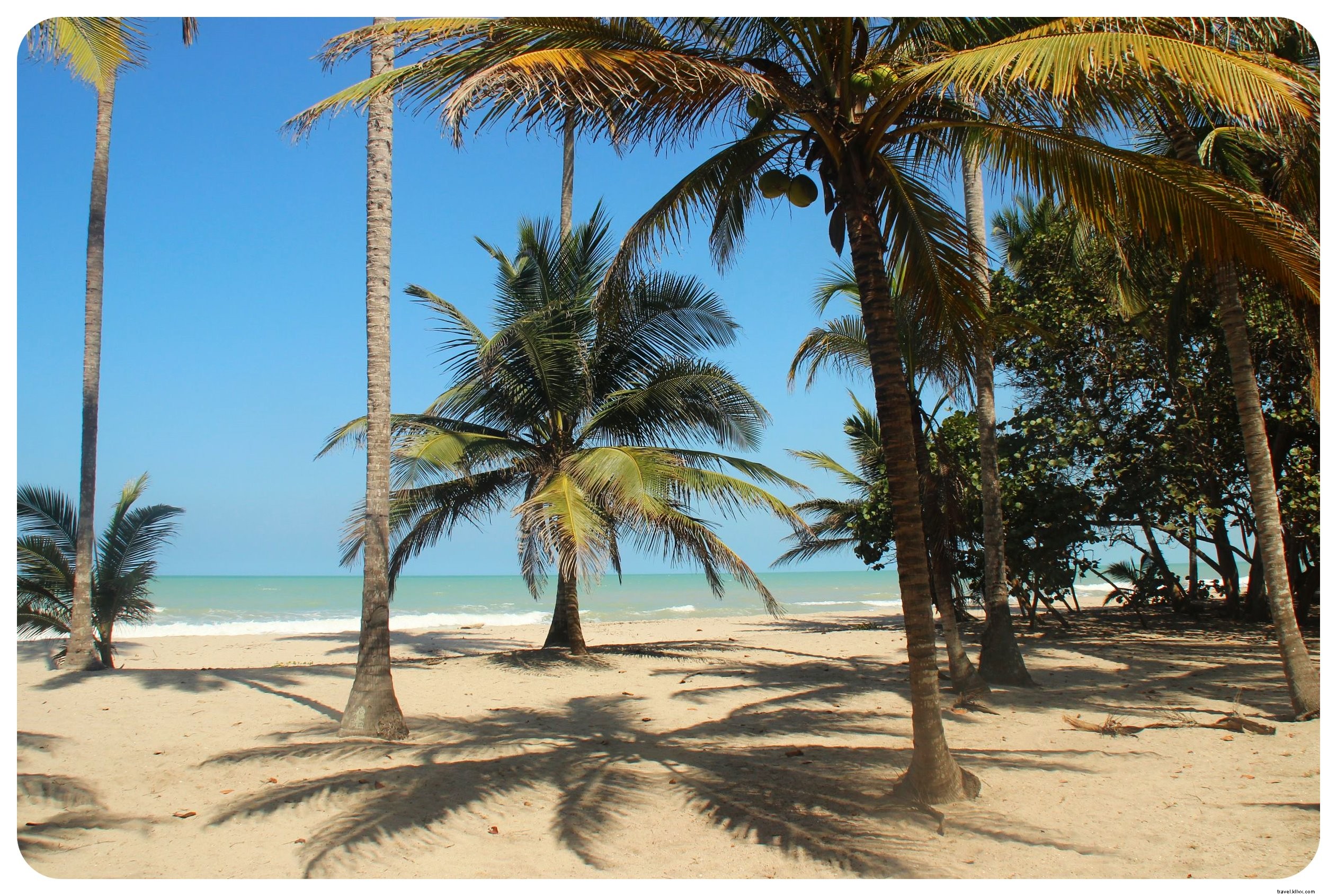 Vibrations des Caraïbes et une frayeur inattendue à Palomino, Colombie