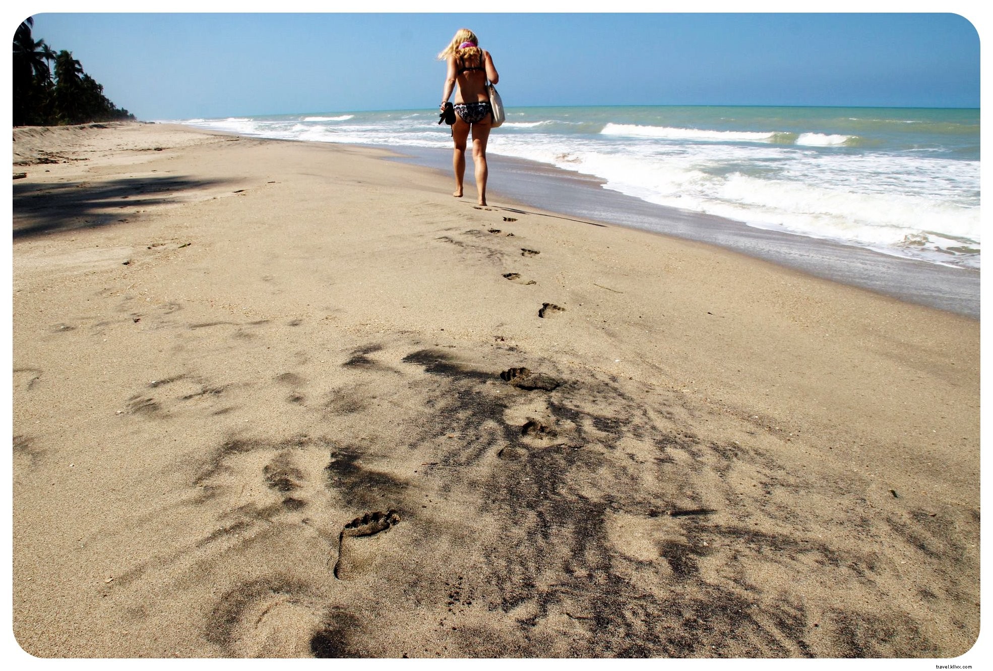 Vibrations des Caraïbes et une frayeur inattendue à Palomino, Colombie