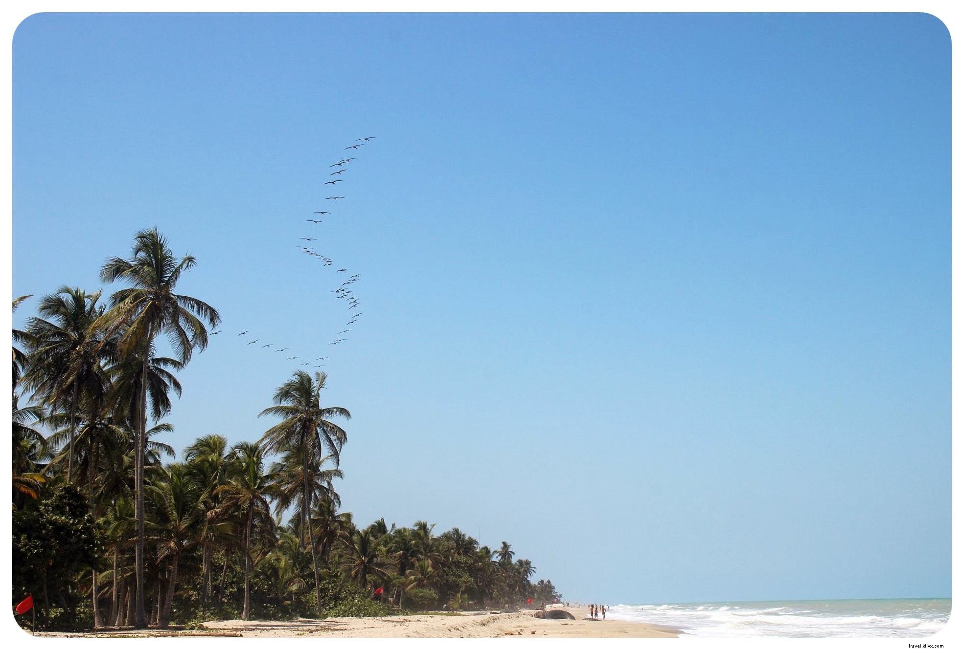 Vibrations des Caraïbes et une frayeur inattendue à Palomino, Colombie