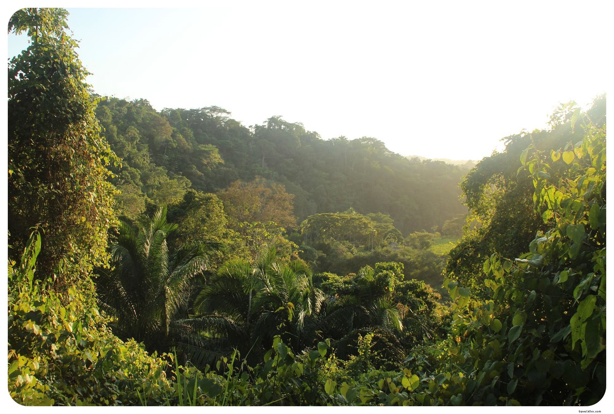 Vibrations des Caraïbes et une frayeur inattendue à Palomino, Colombie
