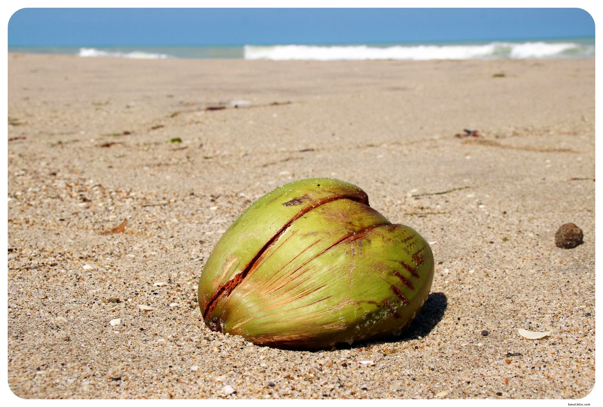 Vibrations des Caraïbes et une frayeur inattendue à Palomino, Colombie