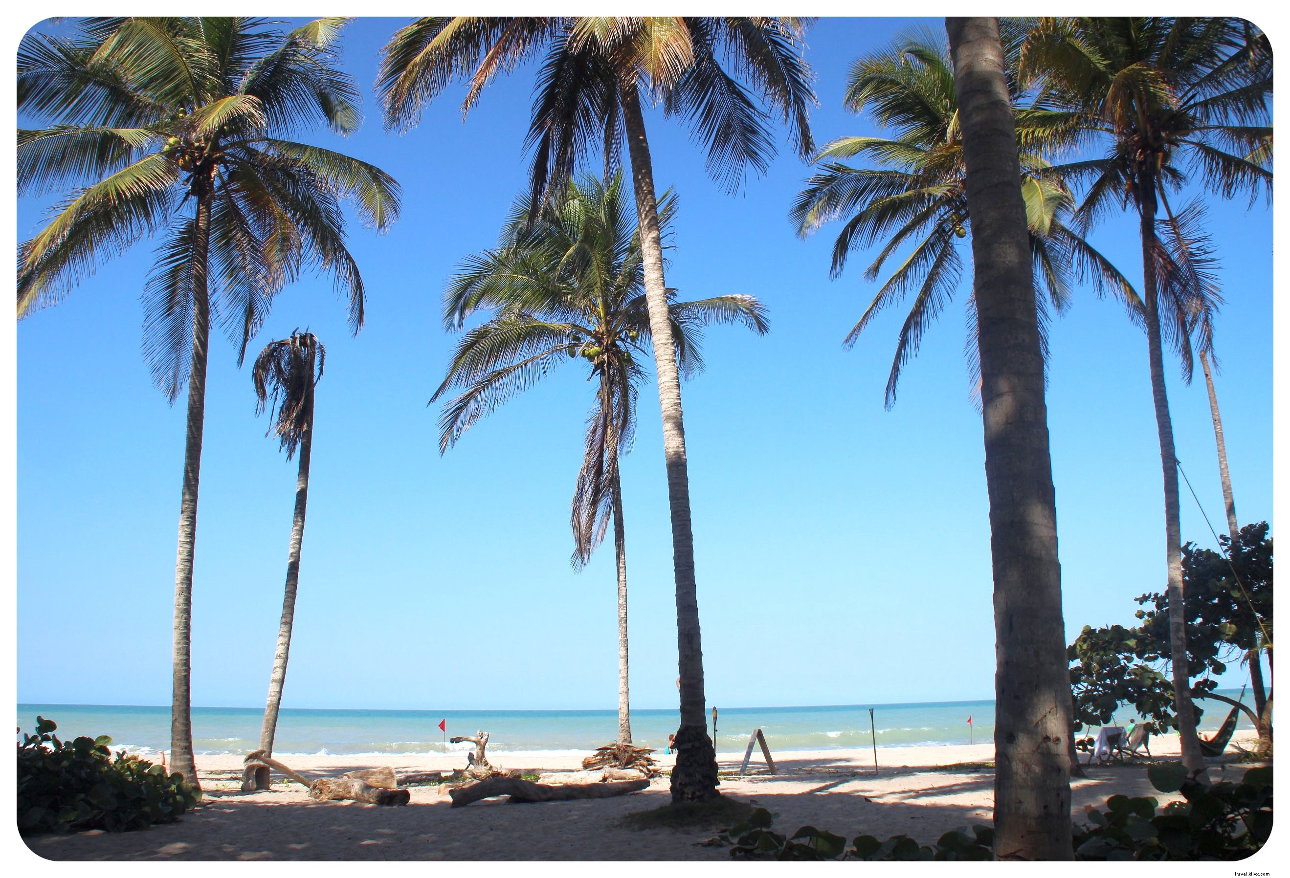 Vibrations des Caraïbes et une frayeur inattendue à Palomino, Colombie