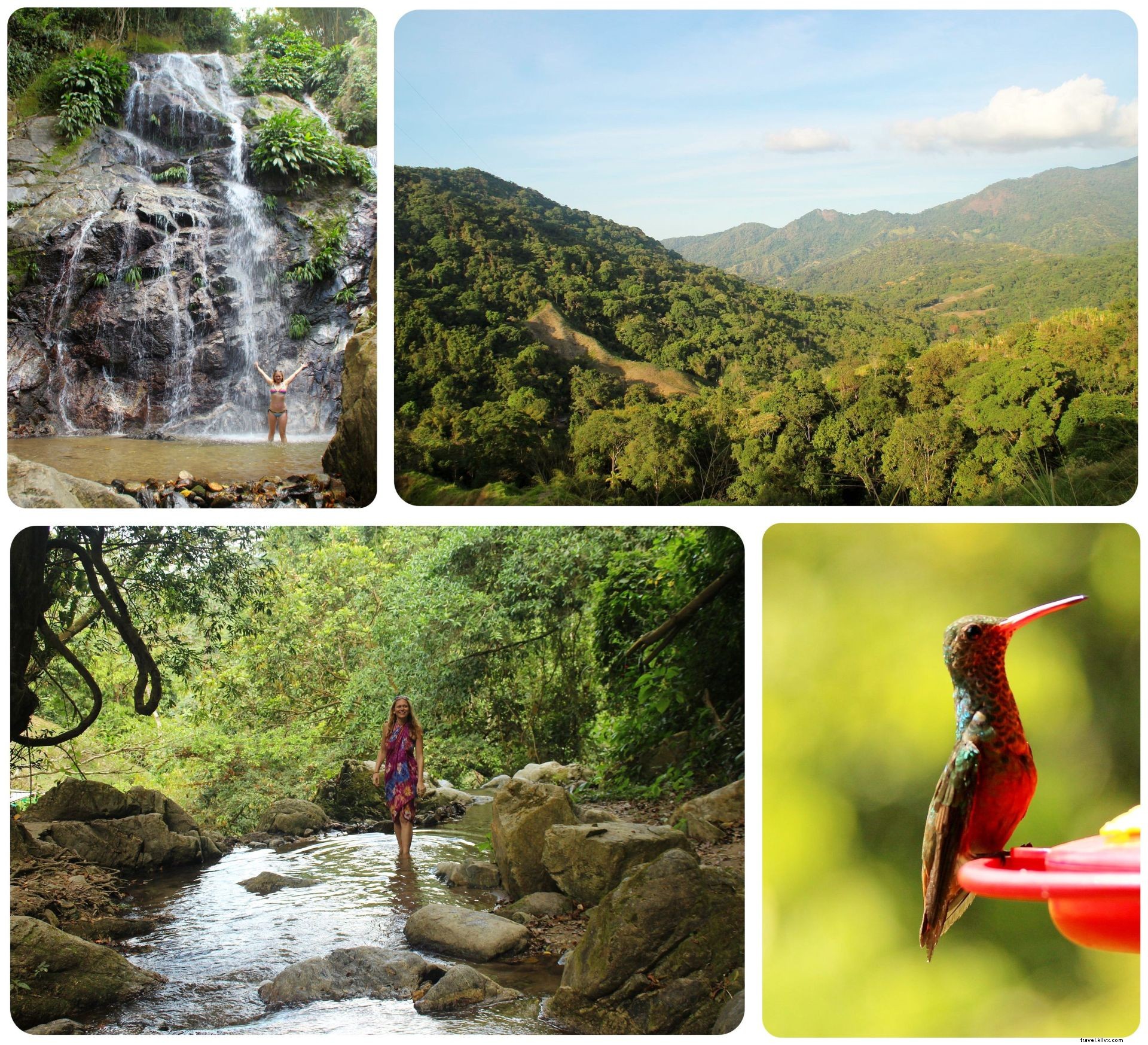 À la découverte des cascades de Minca, Colombie