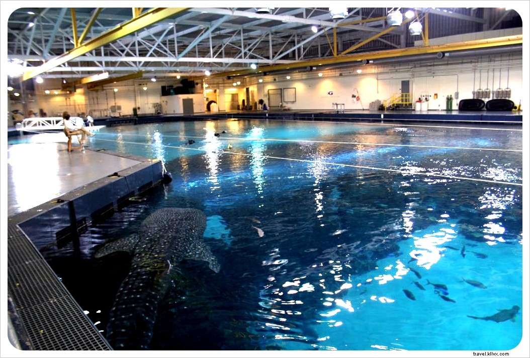 Se sentir comme une pêche à Atlanta (et les lieux à ne pas manquer)