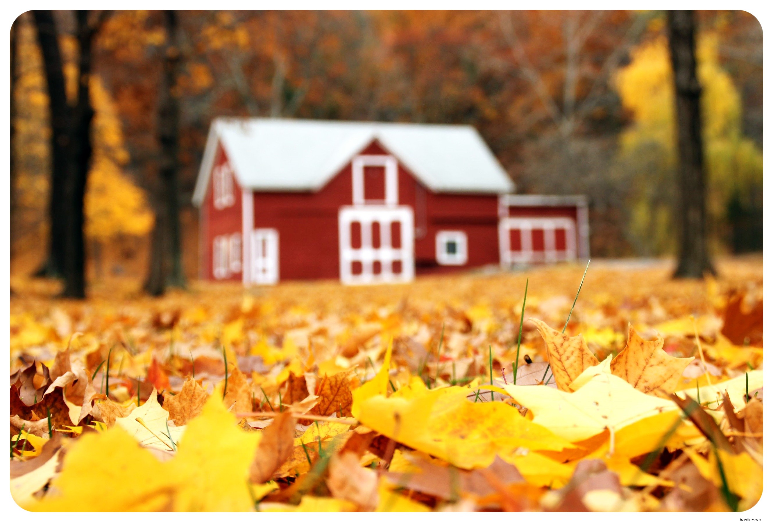 Activités amusantes à faire cet automne dans les Montagnes Enchantées de l Ouest de New York
