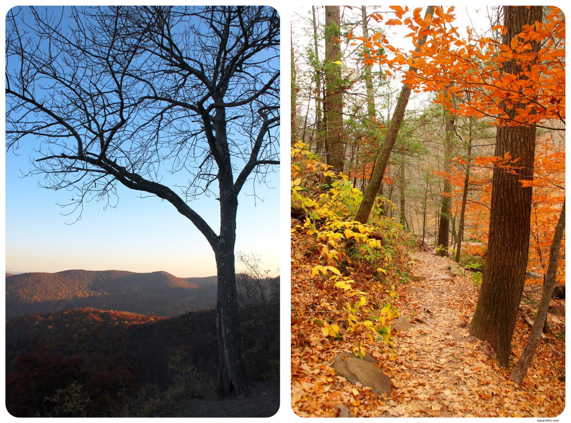 Activités amusantes à faire cet automne dans les Montagnes Enchantées de l Ouest de New York
