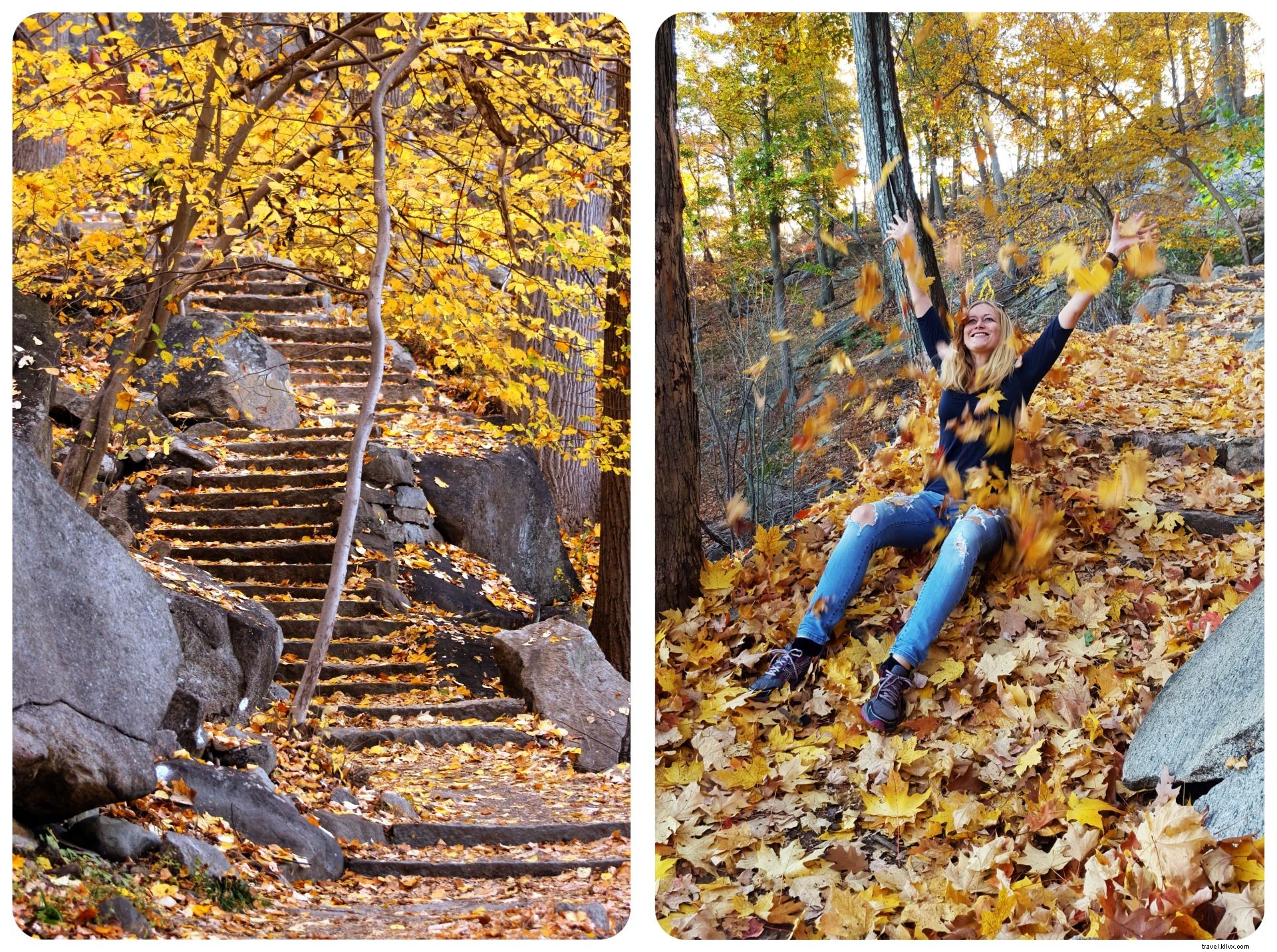 Activités amusantes à faire cet automne dans les Montagnes Enchantées de l Ouest de New York