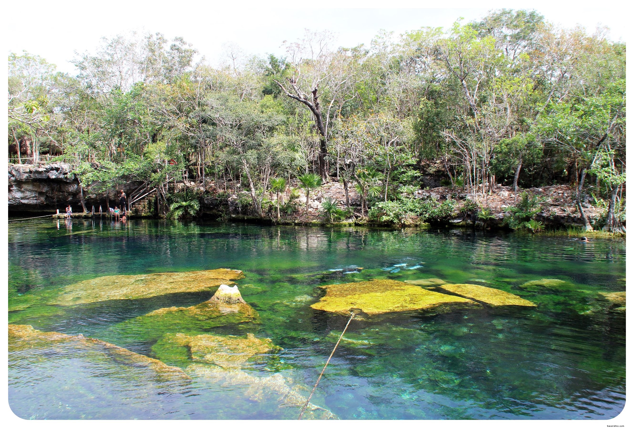 Cénotes, plages et ruines mayas : un road‑trip au Yucatán alimenté par des tacos
