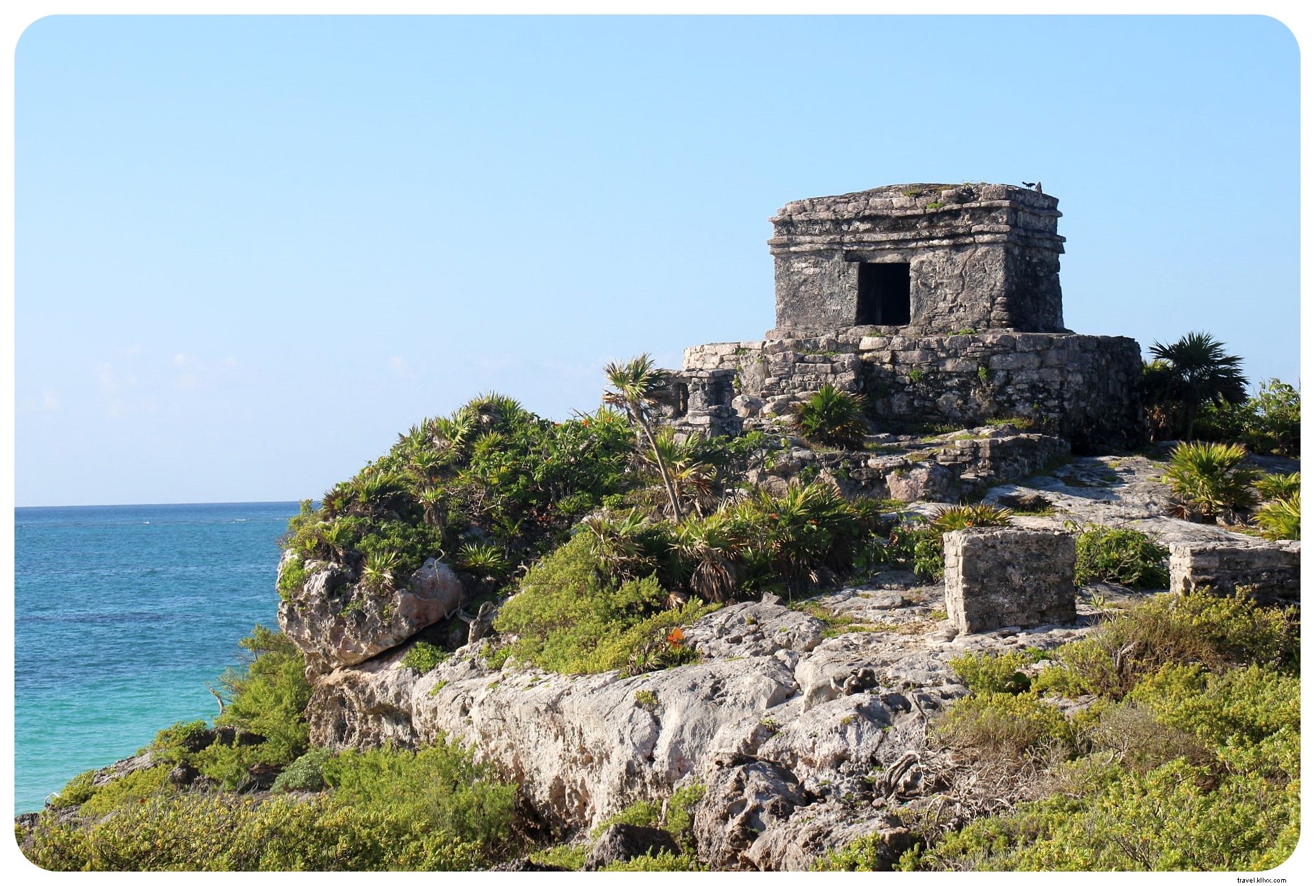 Cénotes, plages et ruines mayas : un road‑trip au Yucatán alimenté par des tacos