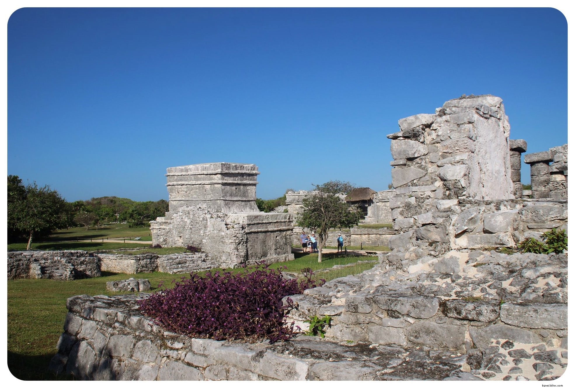 Cénotes, plages et ruines mayas : un road‑trip au Yucatán alimenté par des tacos