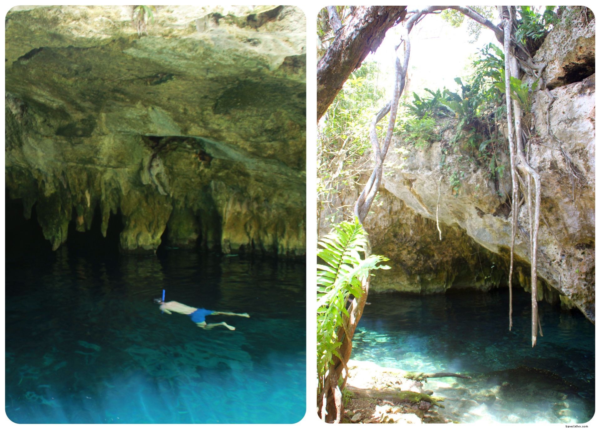 Cénotes, plages et ruines mayas : un road‑trip au Yucatán alimenté par des tacos