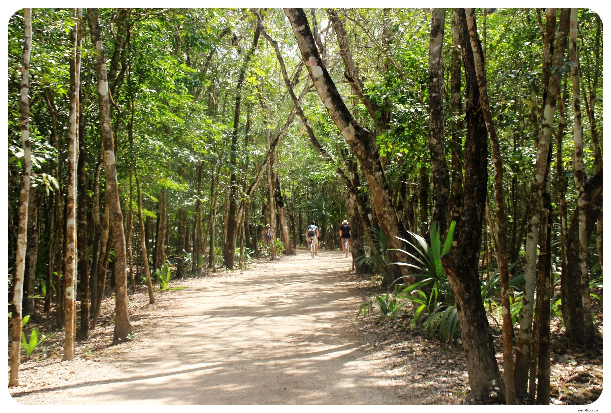 Cénotes, plages et ruines mayas : un road‑trip au Yucatán alimenté par des tacos