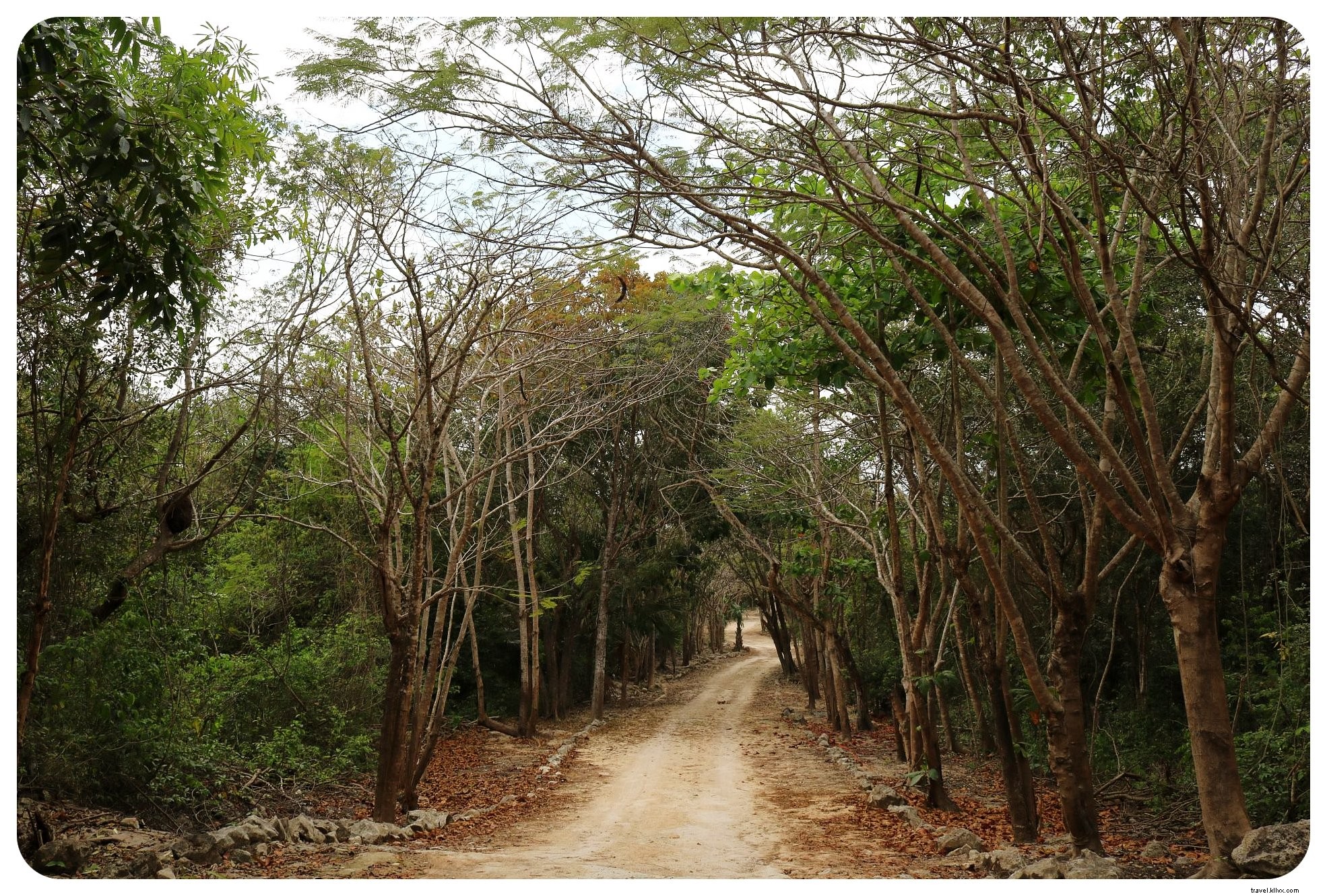 Cénotes, plages et ruines mayas : un road‑trip au Yucatán alimenté par des tacos
