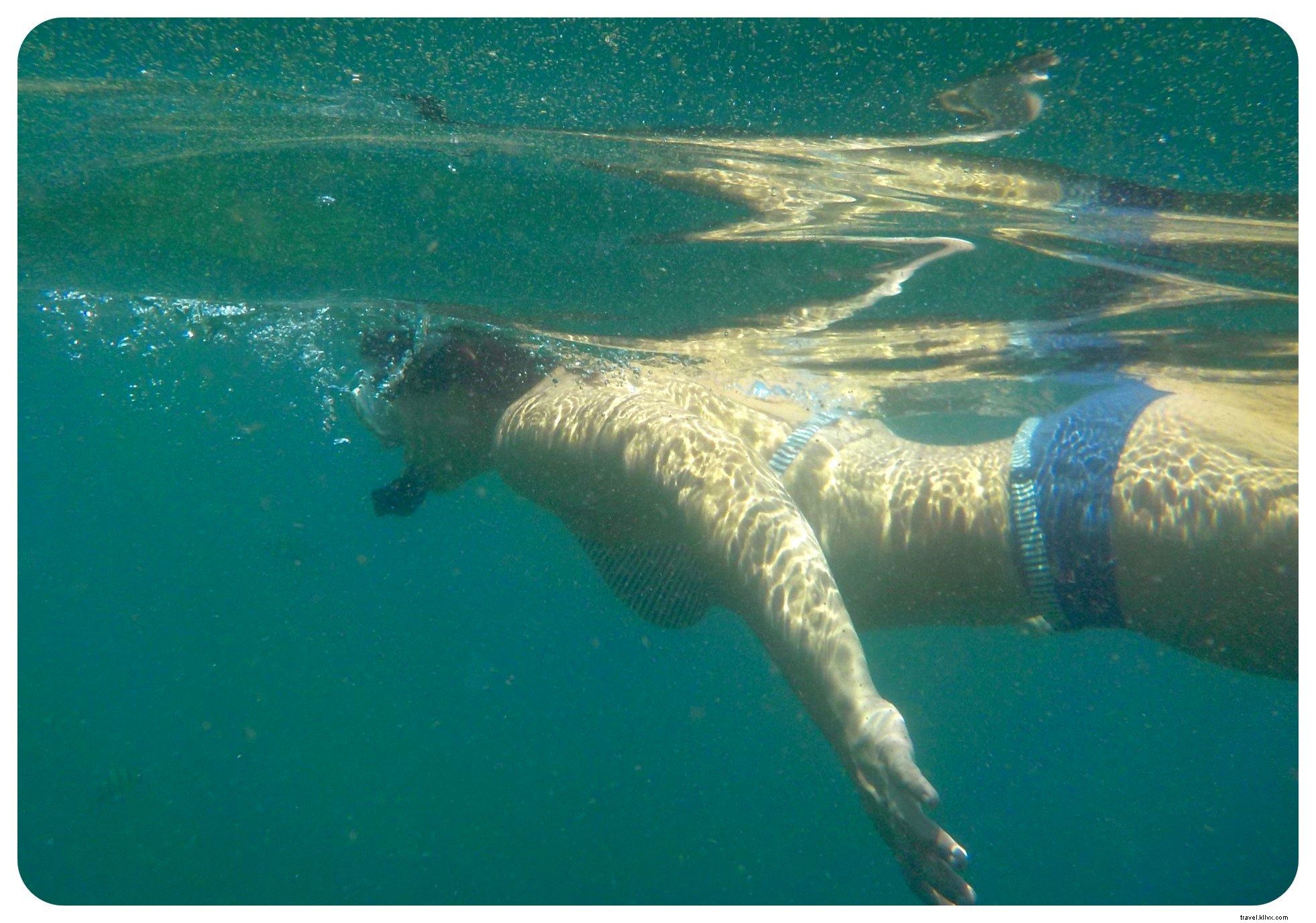 Les meilleures plages pour la plongée en apnée au Mexique