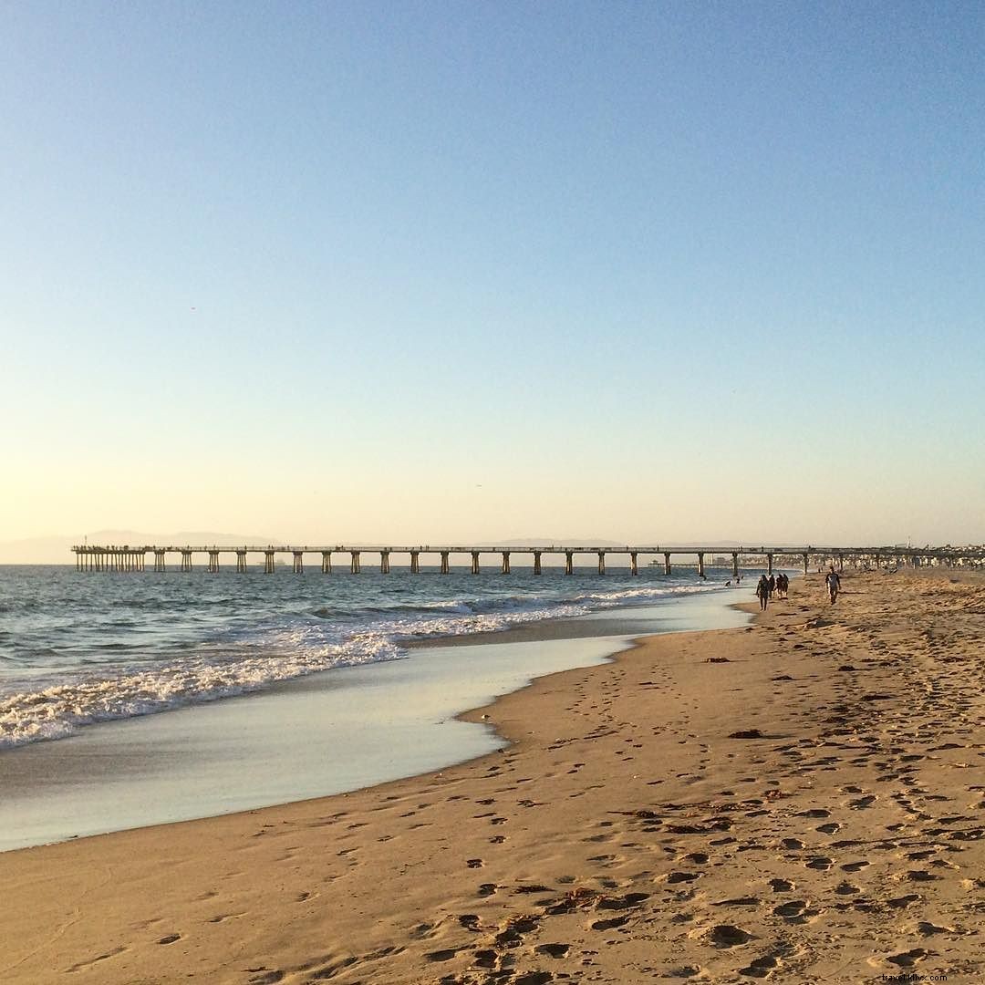 Les meilleures plages de San Diego à ne pas manquer