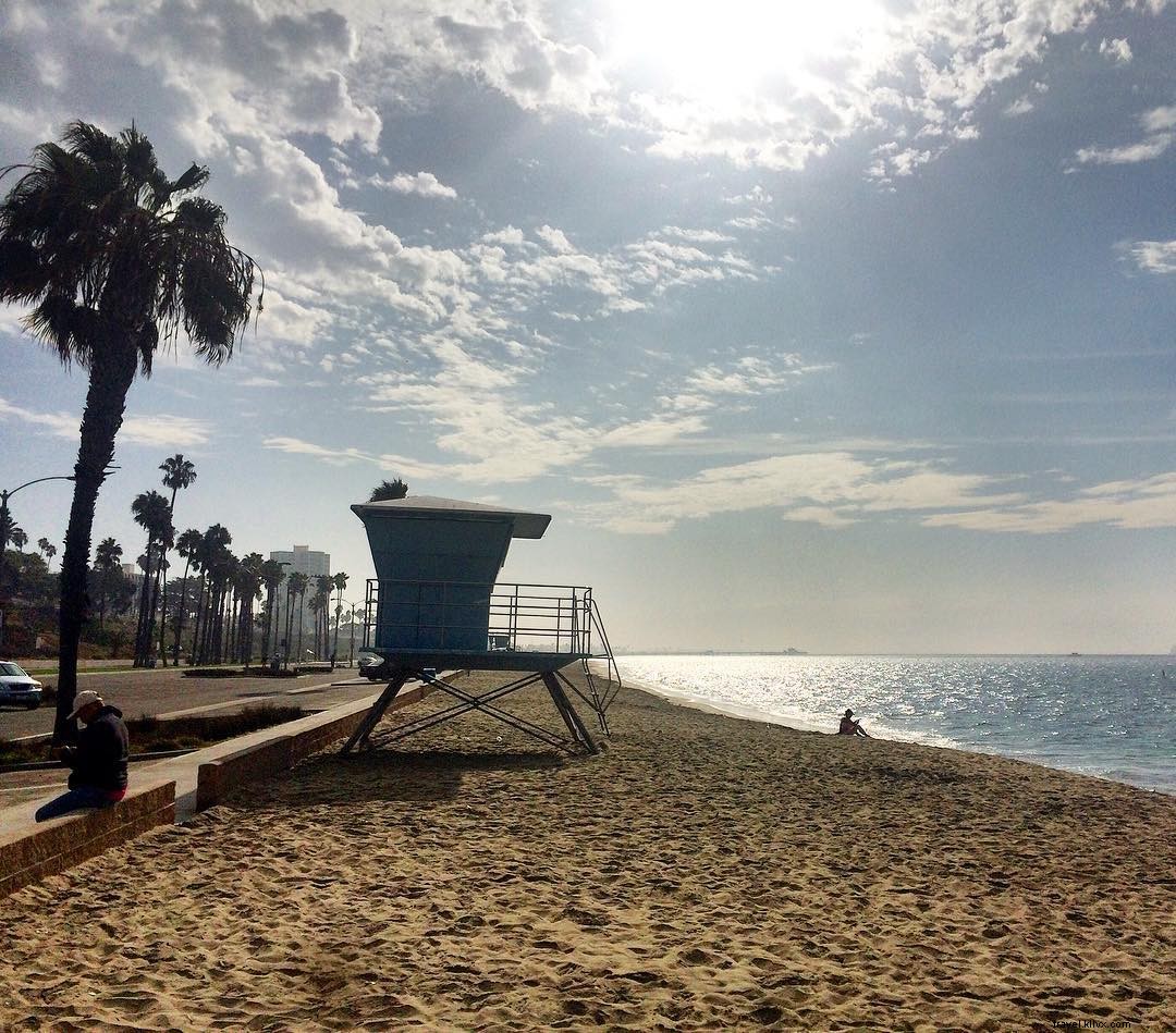 Les meilleures plages de San Diego à ne pas manquer