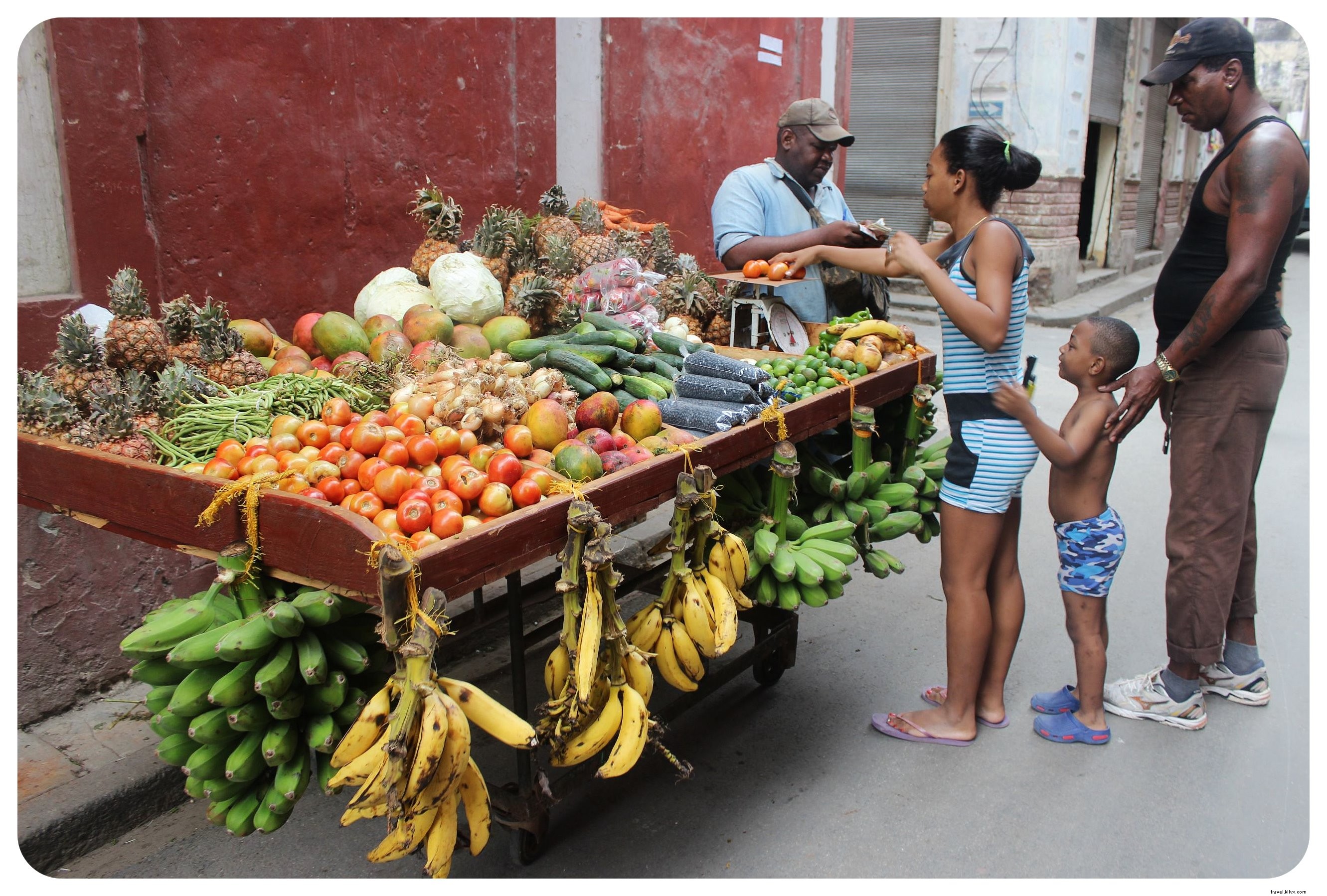 Cuba : 10 informations essentielles avant de partir