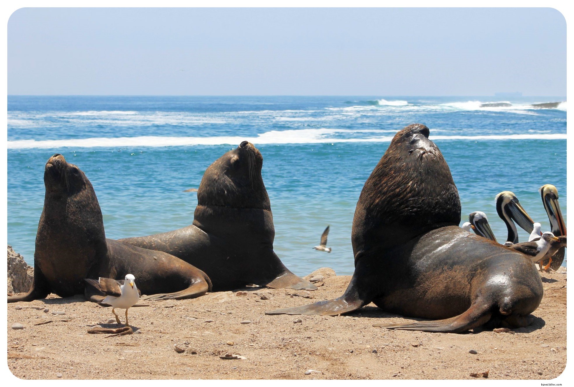 6 façons de rendre votre prochain voyage à San Diego mémorable