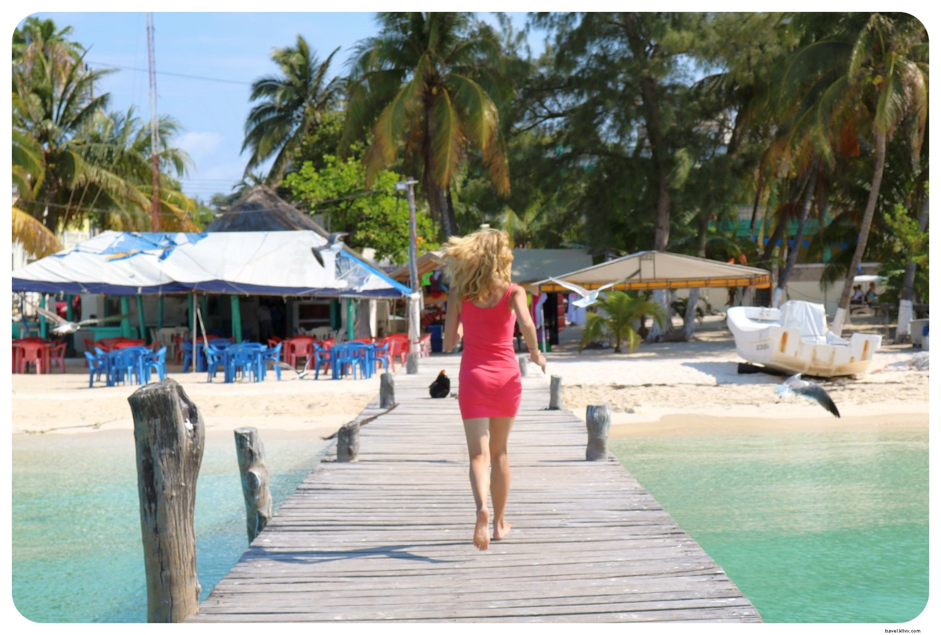 Isla Mujeres : le paradis à portée de main au Mexique