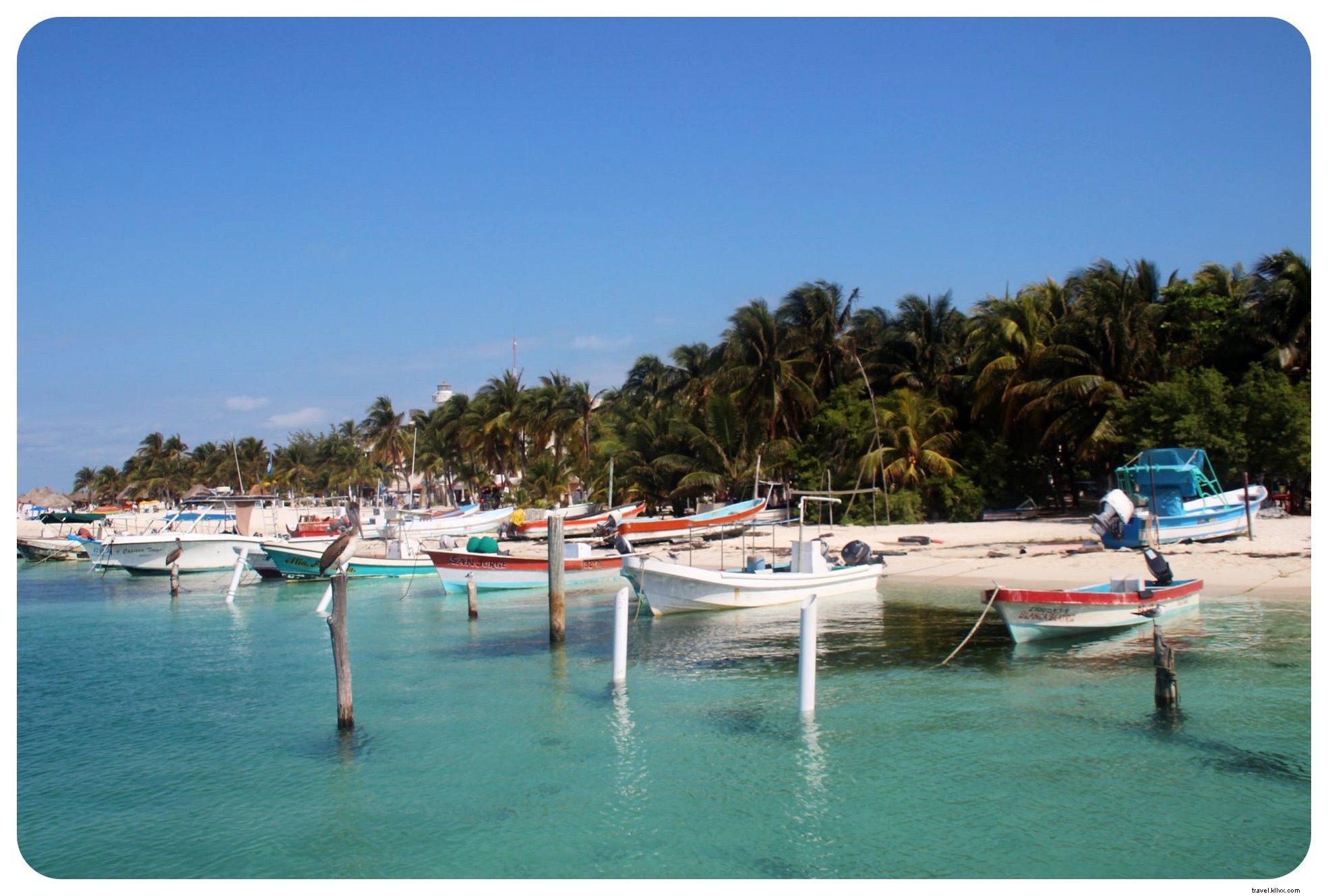 Isla Mujeres : le paradis à portée de main au Mexique