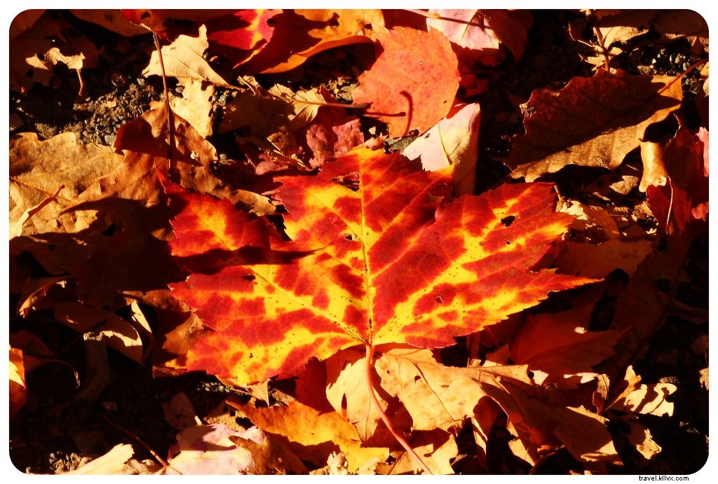 Les meilleurs lieux pour admirer le feuillage d’automne en Nouvelle-Angleterre