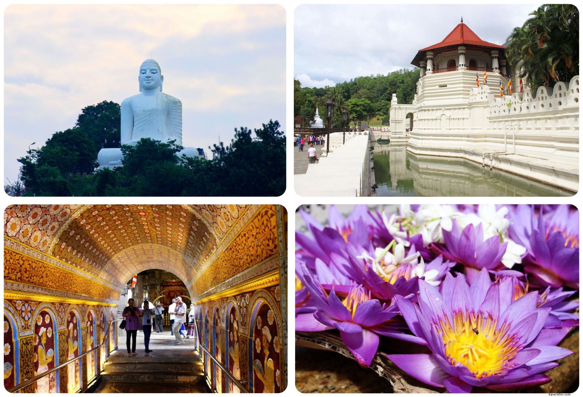 Séjour à Kandy, Sri Lanka – Theva Residency