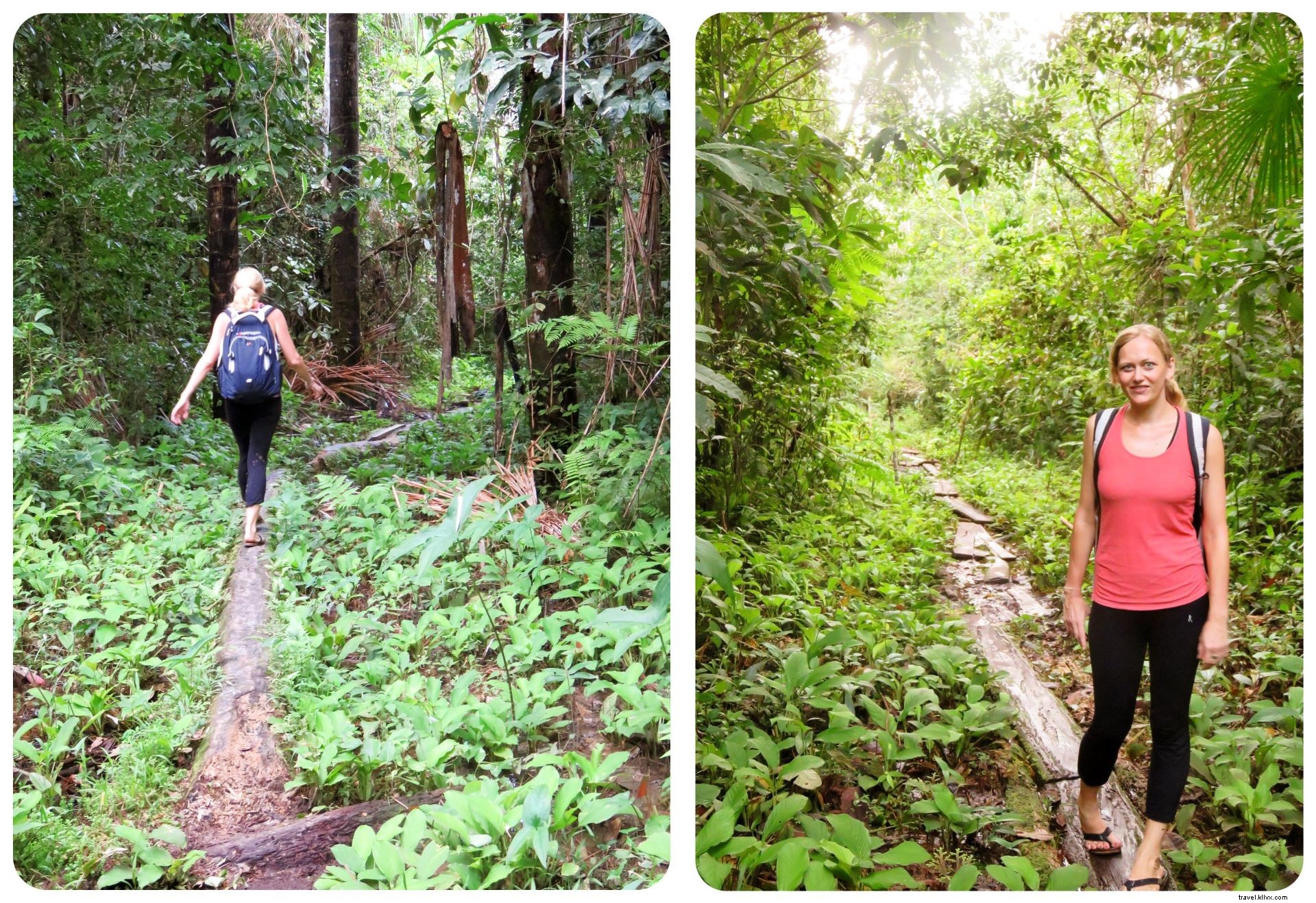 À la recherche de mes démons intérieurs dans la jungle colombienne : un rite d’ayahuasca