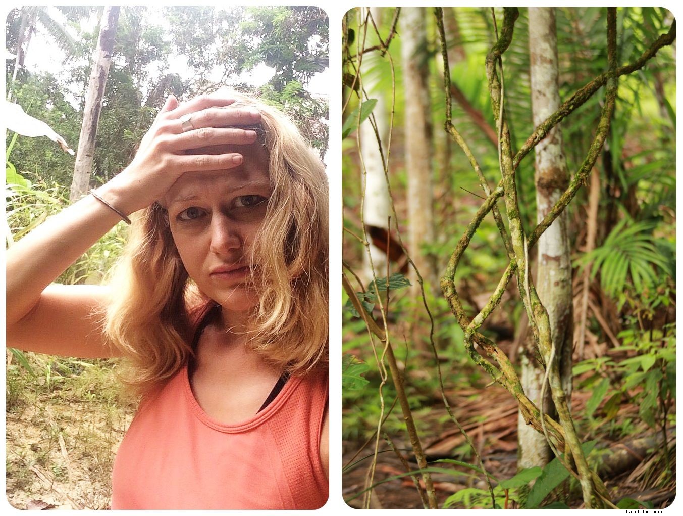 À la recherche de mes démons intérieurs dans la jungle colombienne : un rite d’ayahuasca