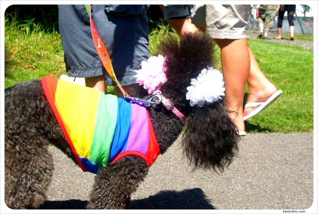 Vous mettez le pied gauche dans… Le Placard du Voyageur | Voyage Gay