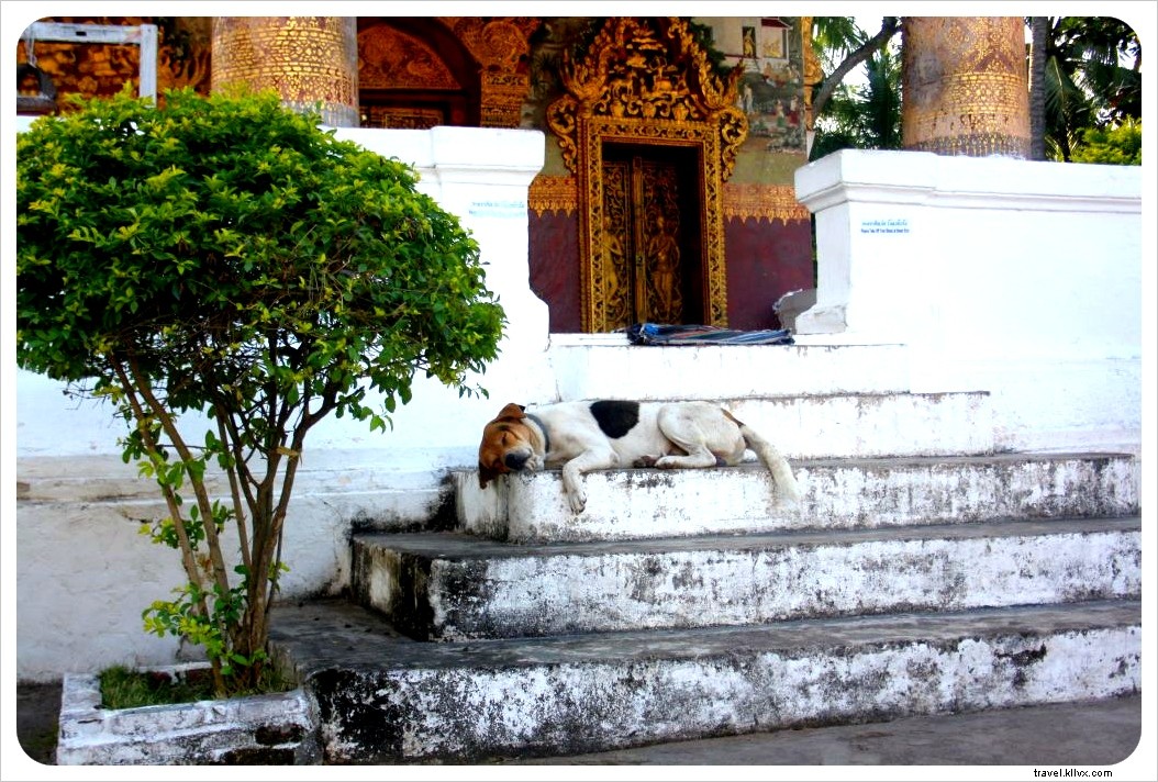 Charme urbain – Luang Prabang, Laos