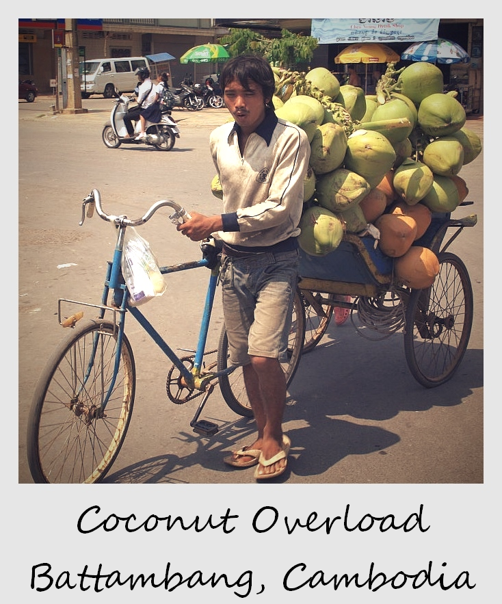 Polaroid de la semaine : avalanche de noix de coco à Battambang, Cambodge