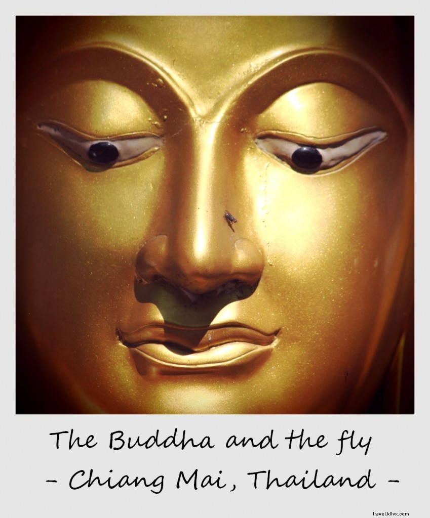 Polaroïd de la semaine : le Bouddha et la mouche – Chiang Mai, Thaïlande