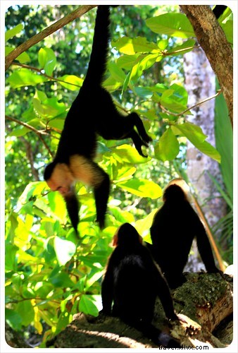 Le Costa Rica, un véritable paradis sauvage