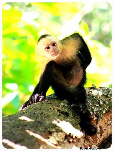 Le Costa Rica, un véritable paradis sauvage