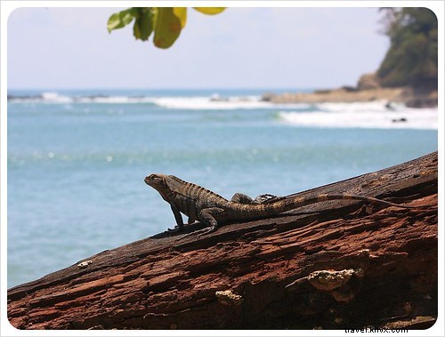 Le Costa Rica, un véritable paradis sauvage