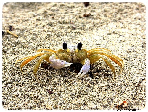 Le Costa Rica, un véritable paradis sauvage