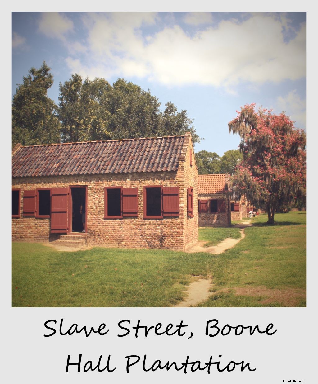 Polaroïd de la semaine : Slave Street à la plantation Boone Hall