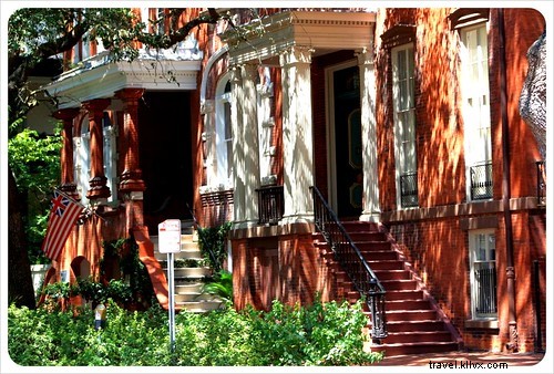 Savannah, une rêverie en images