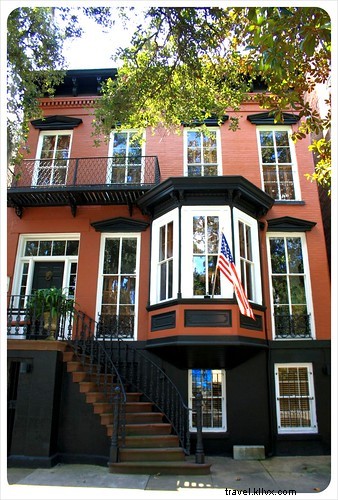 Savannah, une rêverie en images